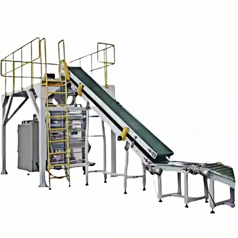 XLY-120 Powder Secondary Bagging Packing Machine 