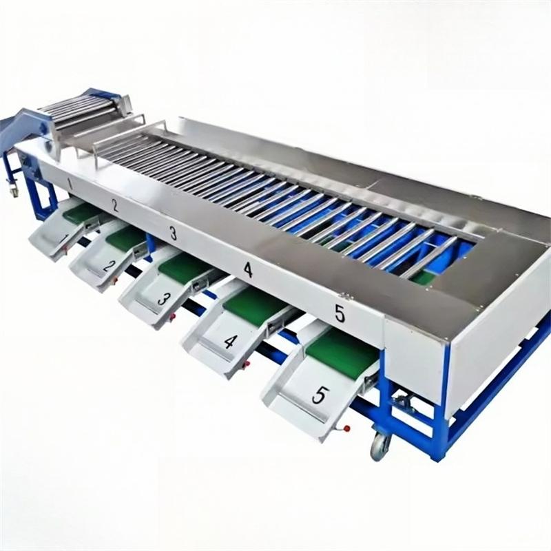 XLY-Z-1500 Tomato Apple Mango Sorting Grading Machine 